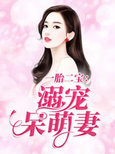 一胎二寶:溺寵呆萌妻