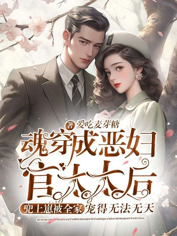 魂穿成惡婦官太太後，兜上崽被全家寵得無法無天