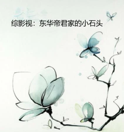 綜影視：東華帝君家的小石頭