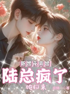 新婚夜離婚，她歸來，陸總瘋了