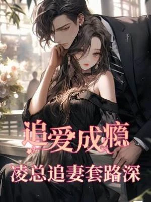 追愛成癮:凌總追妻套路深