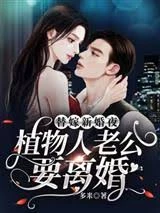 替嫁新婚夜,植物人老公要離婚