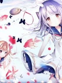 沈洛傳【完結】