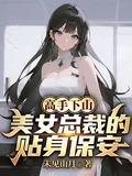 高手下山,美女總裁的貼身保安