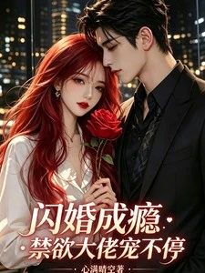閃婚成癮：禁慾大佬寵不停