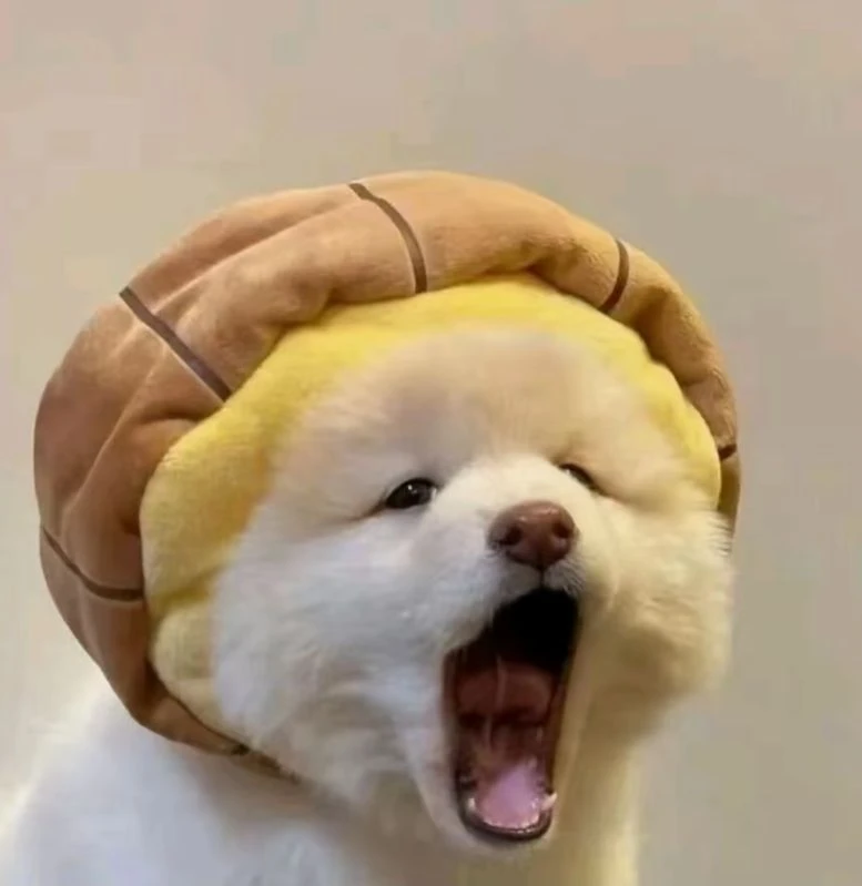 怪物先生的病嬌妻