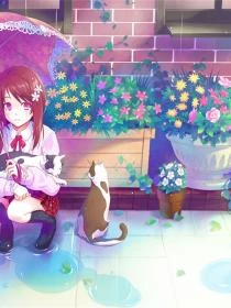 晚風替我回信